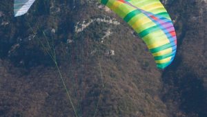 BGD Dual